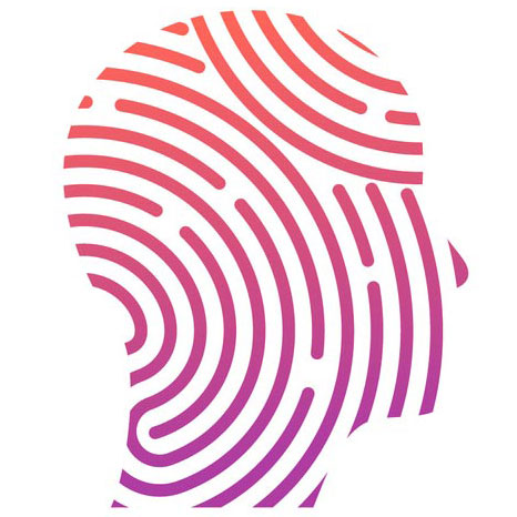 hire a cmmc consultant